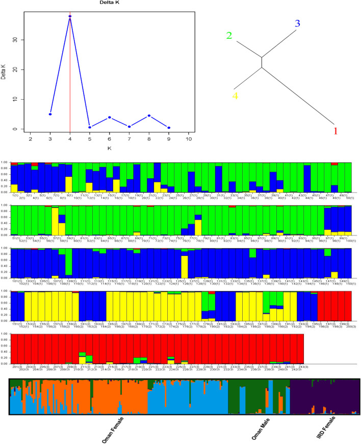 Figure 3