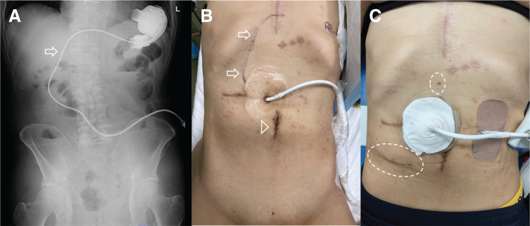 Fig. 2