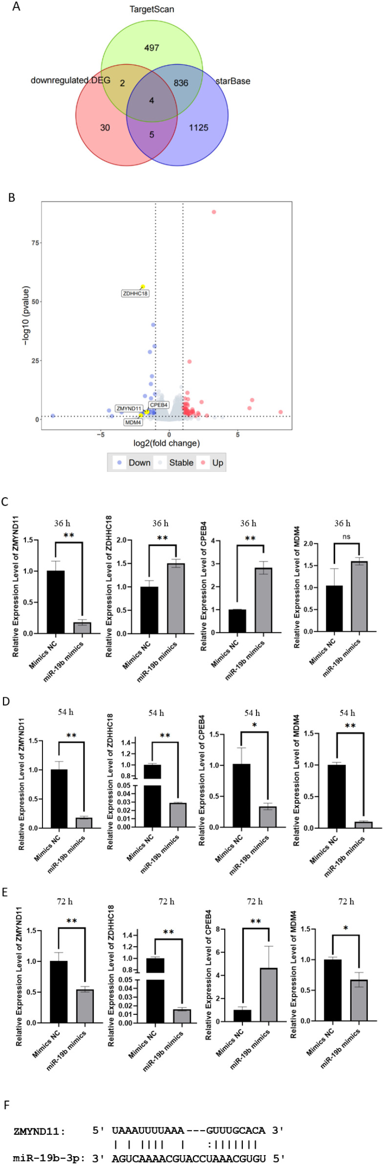 Figure 4