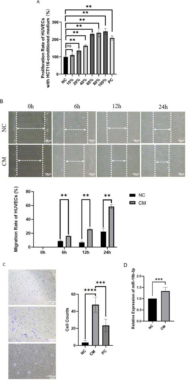 Figure 5