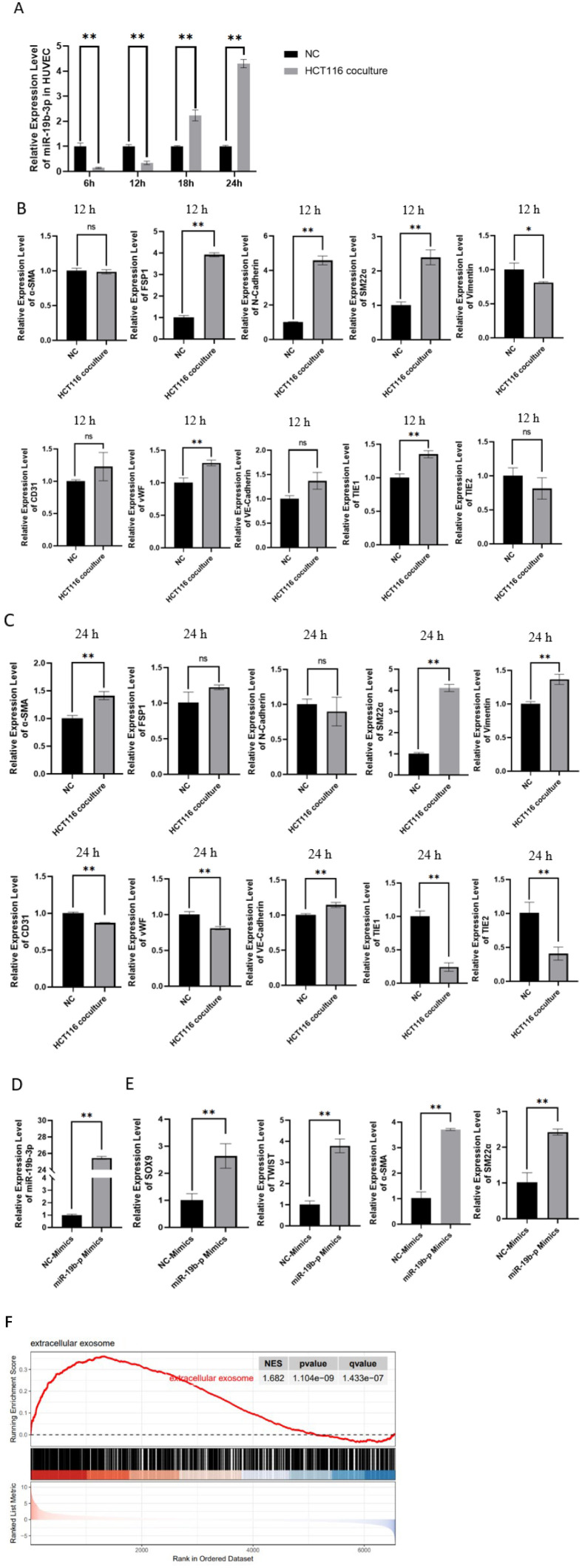 Figure 6