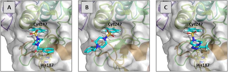 Fig. 4