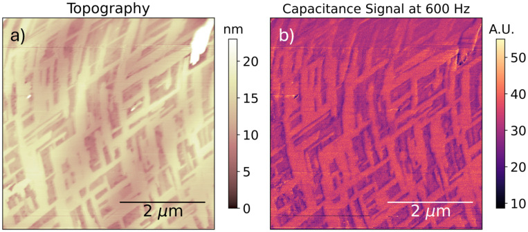 Fig. 10