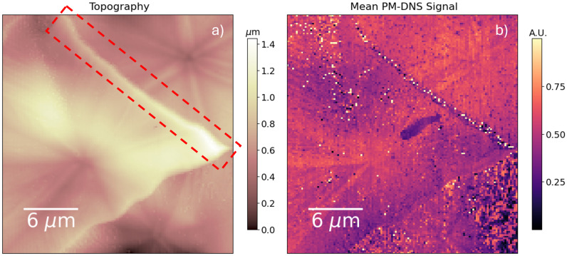 Fig. 8