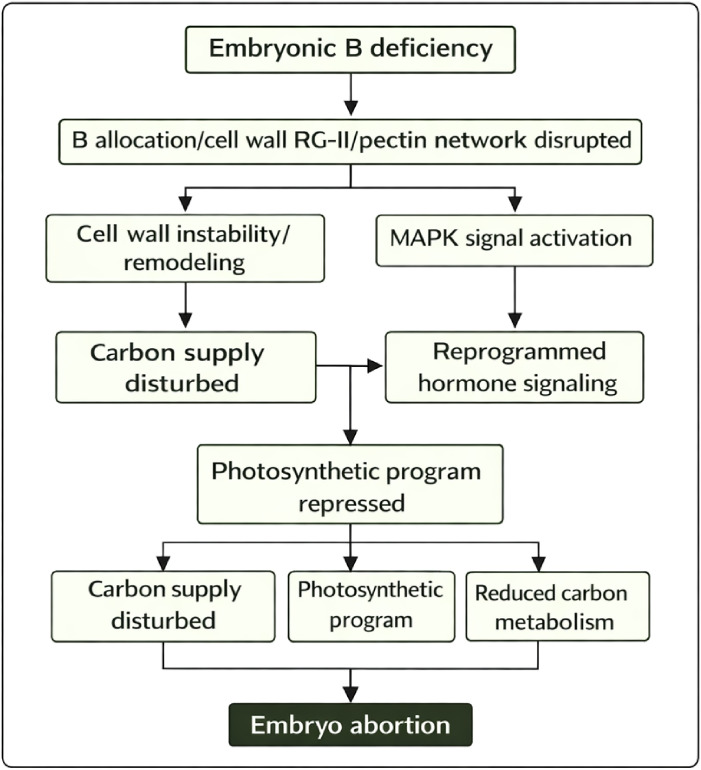 Figure 6