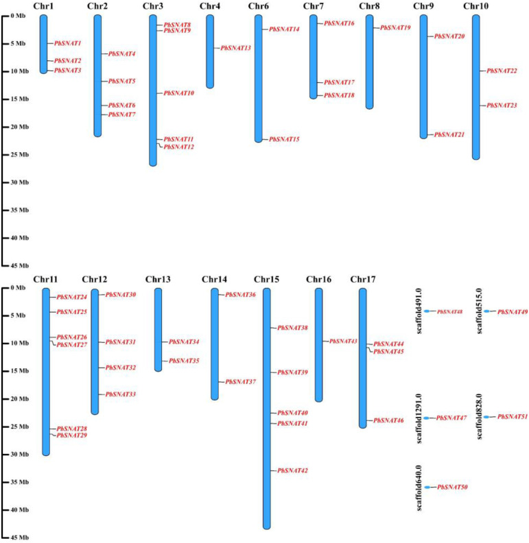 Figure 2