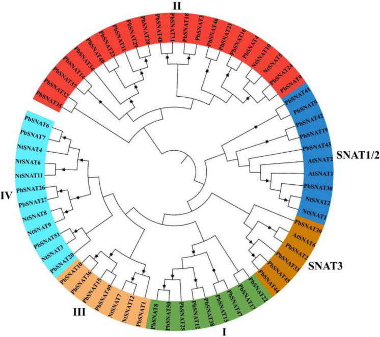 Figure 3