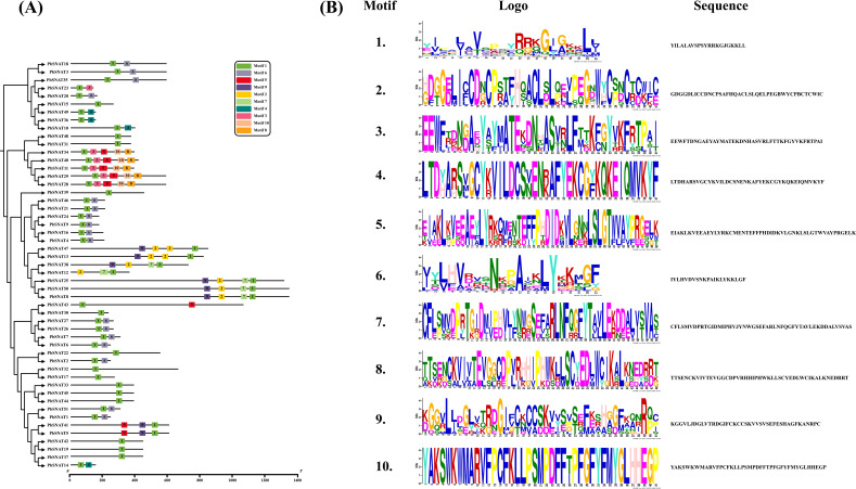 Figure 5