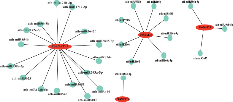 Figure 11