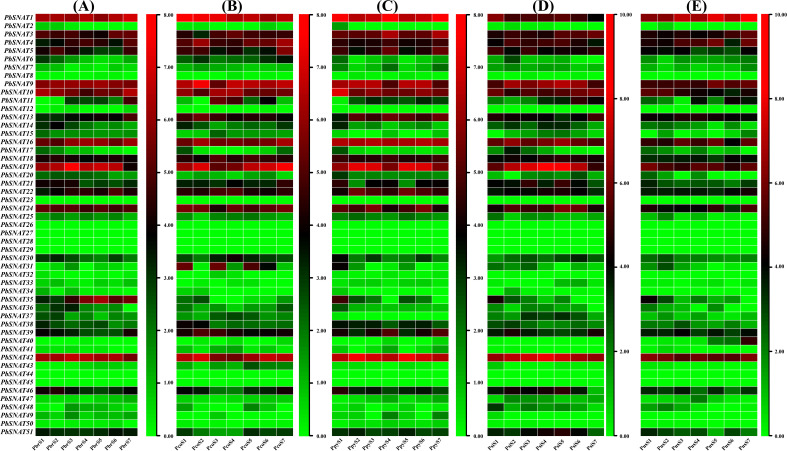 Figure 13