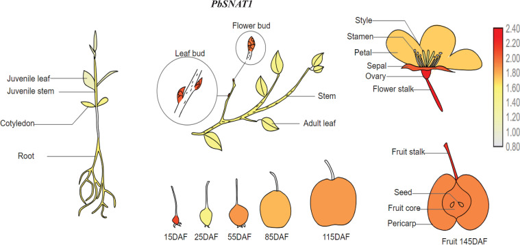Figure 16