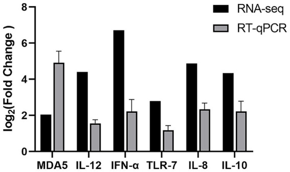 Figure 5