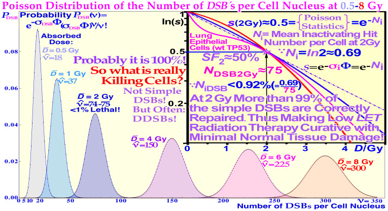Figure 5