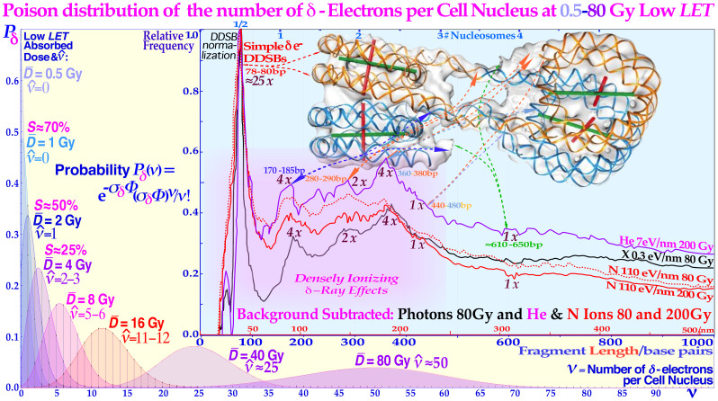 Figure 6