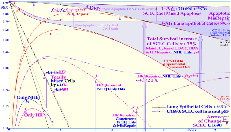 Figure 9