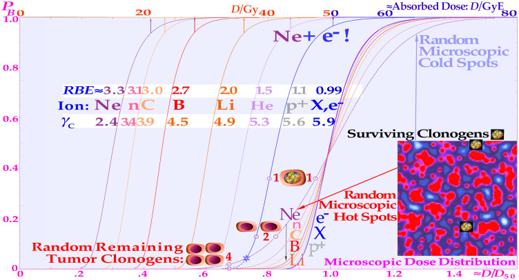 Figure 11