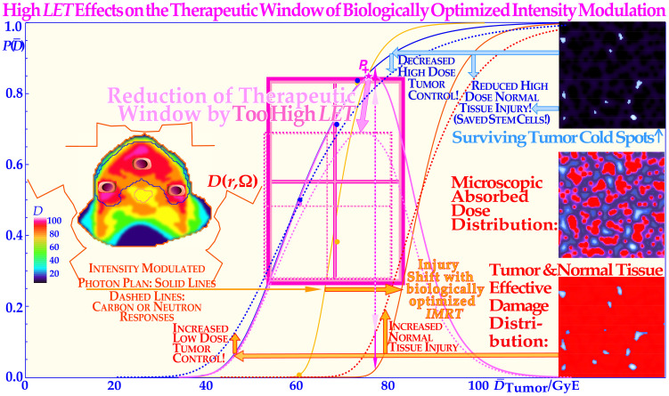 Figure 12