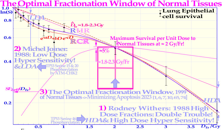 Figure 13