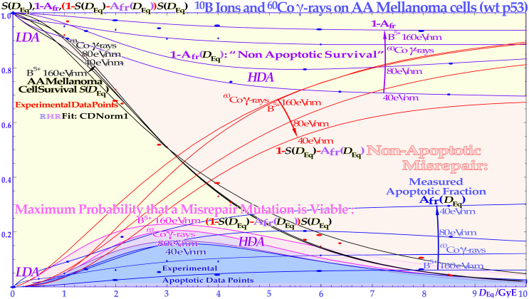 Figure 17