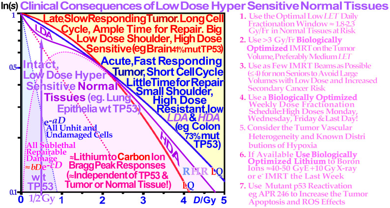 Figure 18