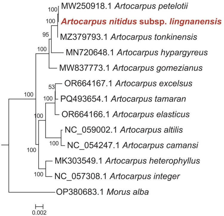 Figure 3