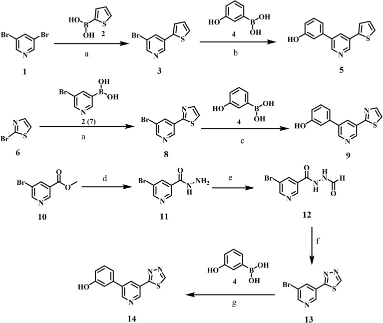 Scheme 1