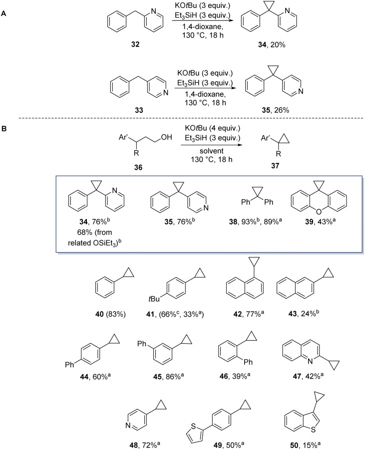 Scheme 5