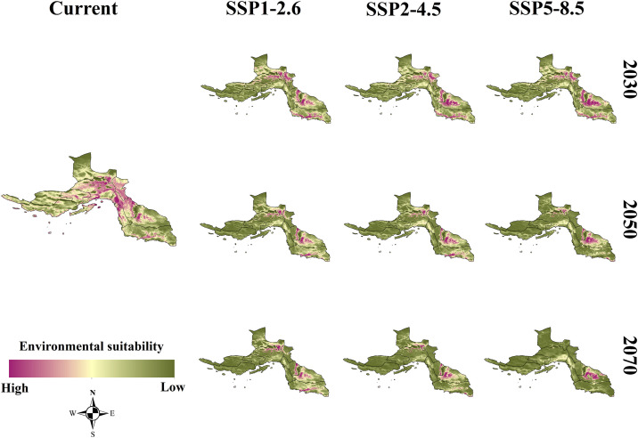 Fig 2