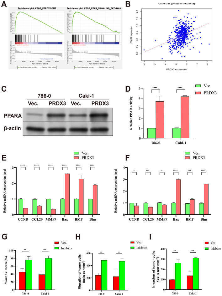 Fig 10