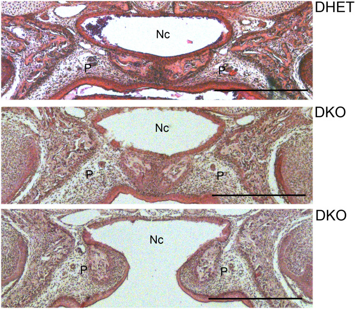 Fig 5