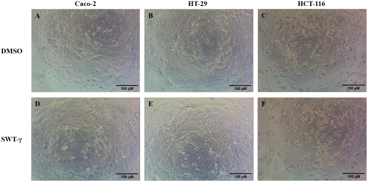 Fig 7
