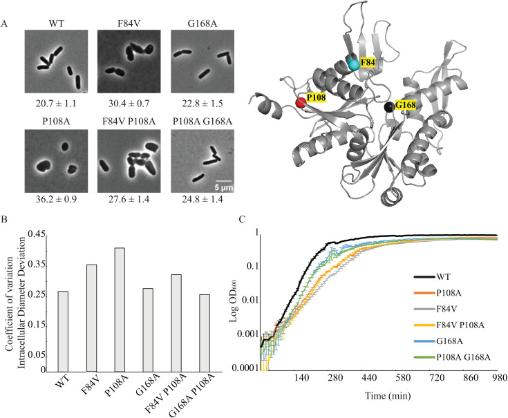 Fig 6