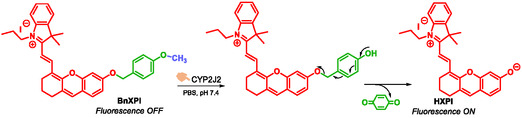 SCHEME 10
