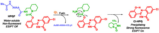 SCHEME 11