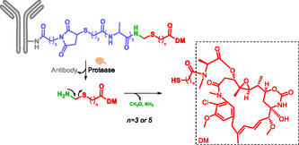 SCHEME 12