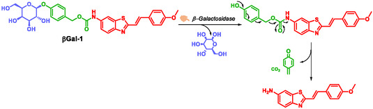 SCHEME 8