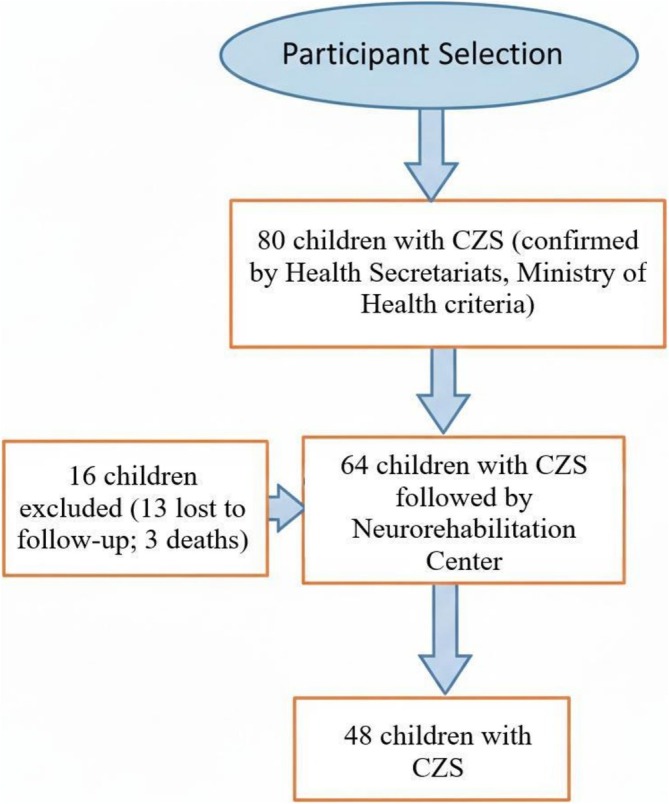 FIGURE 1
