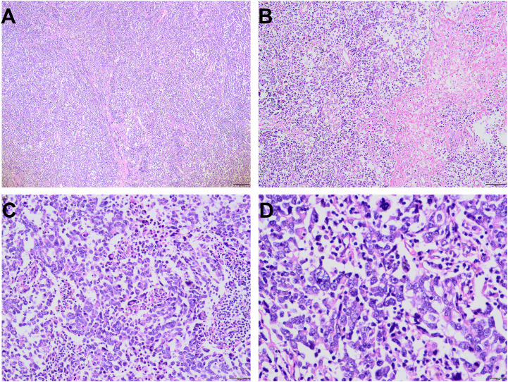 Figure 3