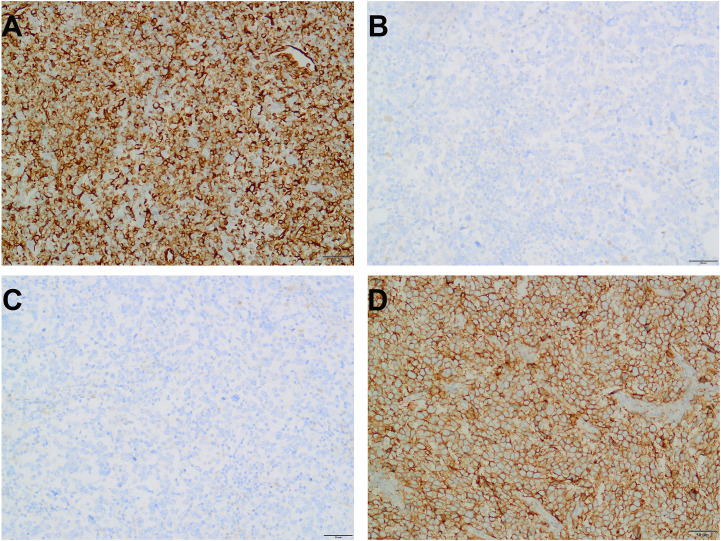 Figure 4