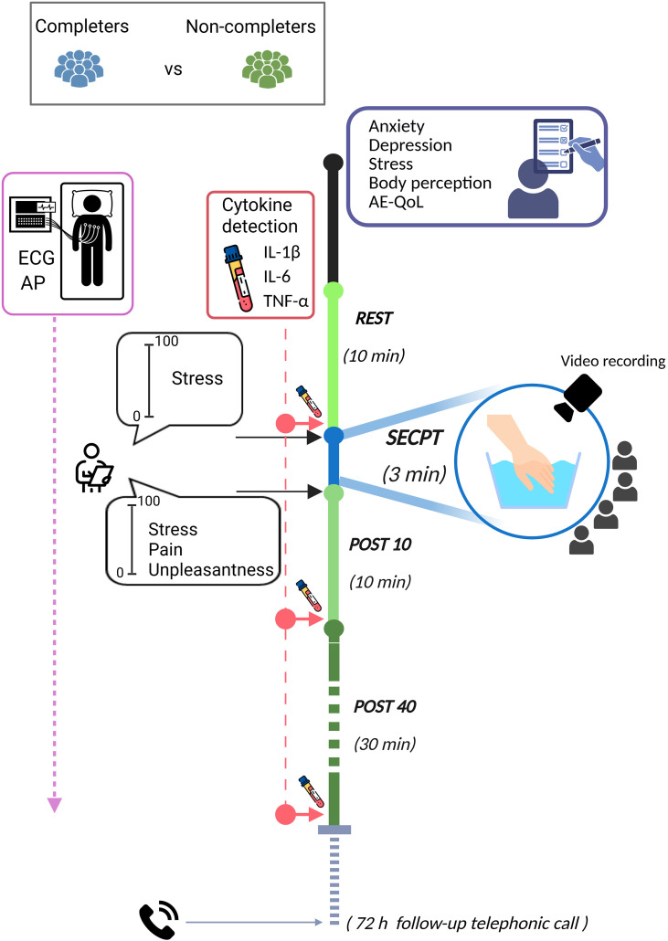 Figure 1