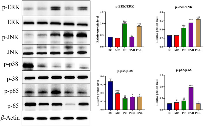 Figure 3