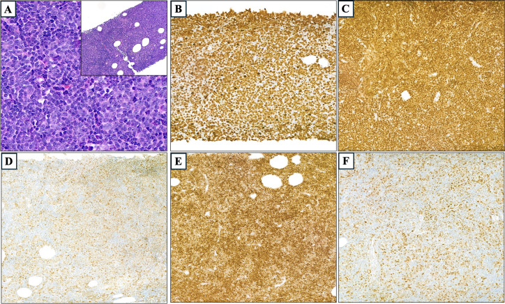 Figure 3