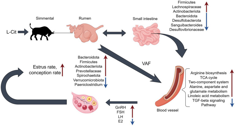Figure 13