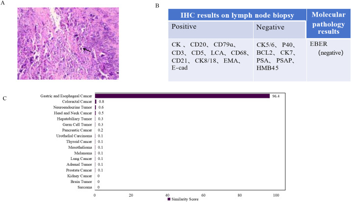 Figure 3