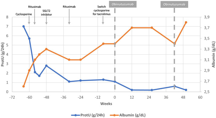 Figure 1