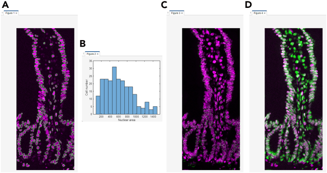 Figure 10