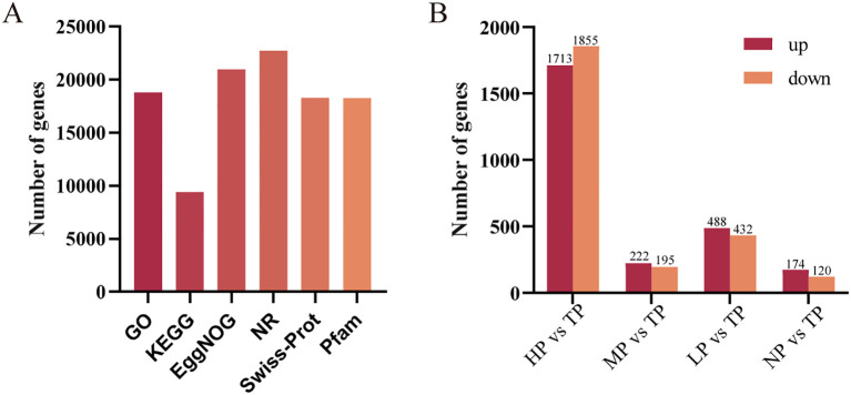 Figure 2