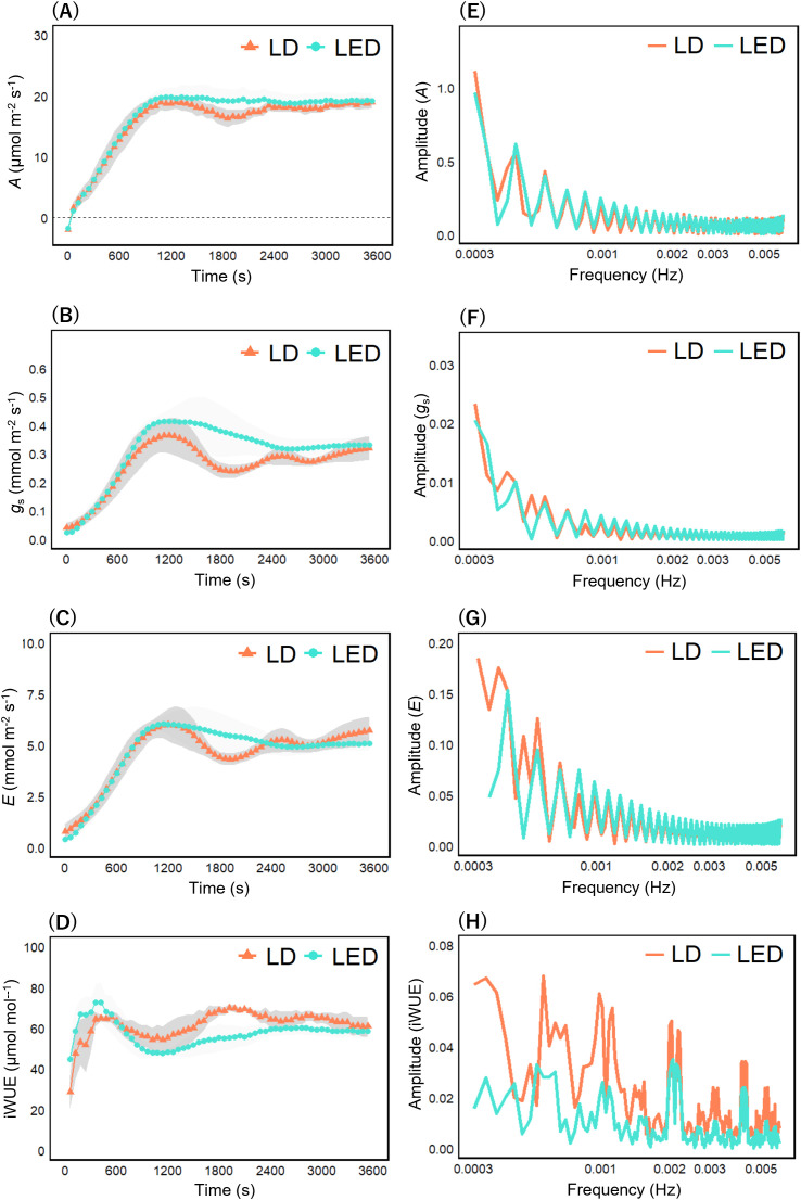 Figure 5