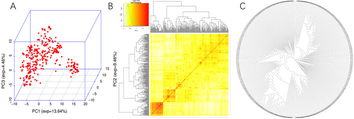 Figure 2
