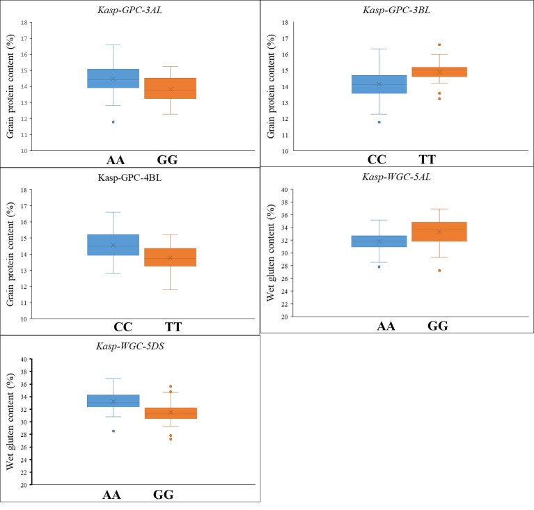 Figure 5